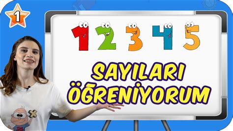 1 sınıf sayıları öğrenme videoları